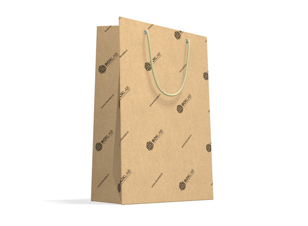 Gift bag with rope handles